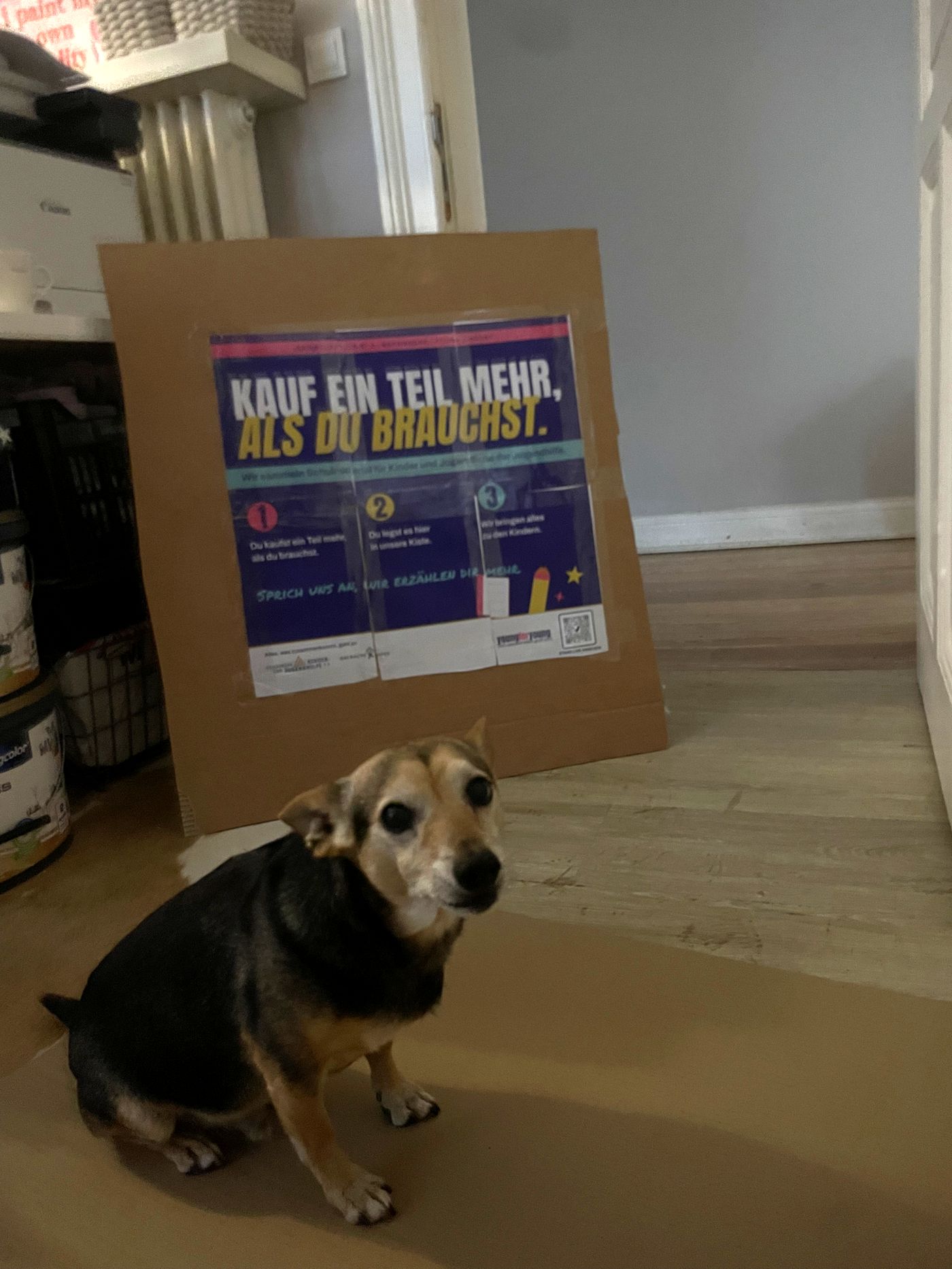 Hund vor einem Umhängeplakat der Aktion